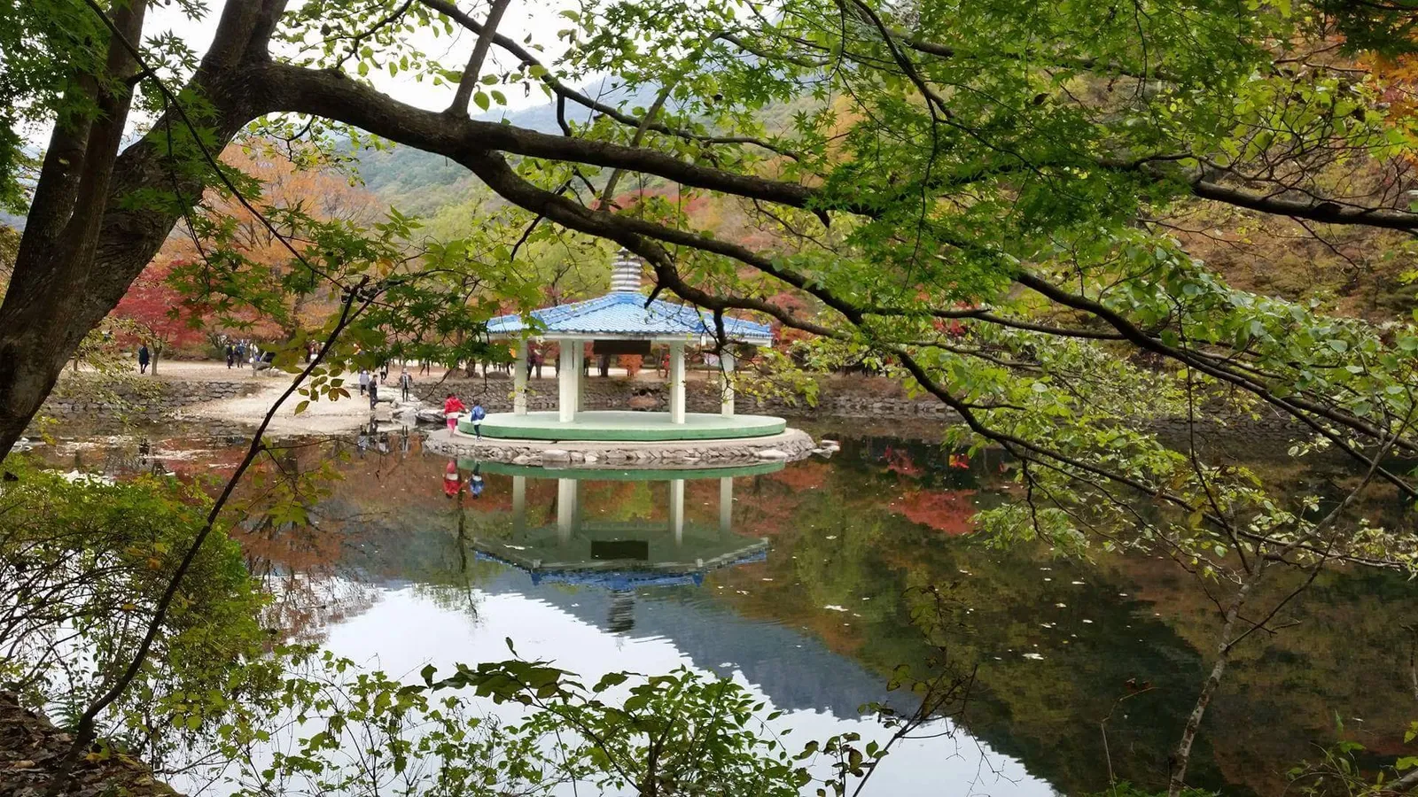 同じ内蔵山の羽化亭だが、葉はまだ緑で、紅葉は対岸に少し入っているだけ