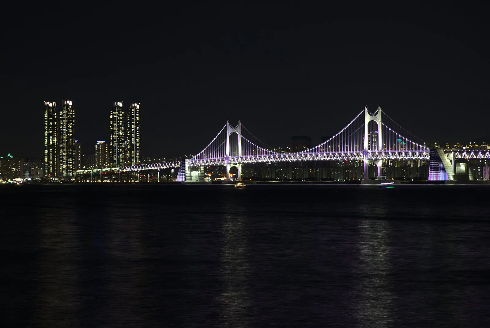 祭りのない普段の夜の広安大橋、紫の照明を受けた主塔と後ろのマンションの明かり