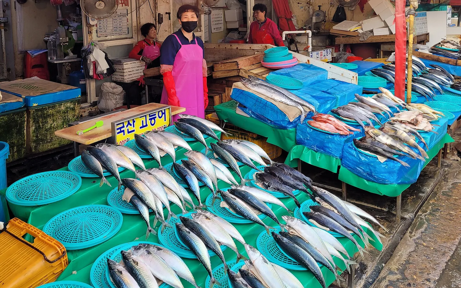 Vendors and trays of mackerel and other fish on display at Jagalchi Market