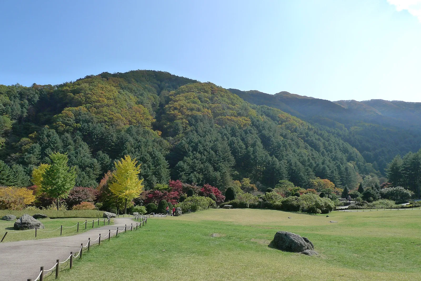 アチムゴヨ樹木園の芝生と紅葉した木々、背後に連なる山並み