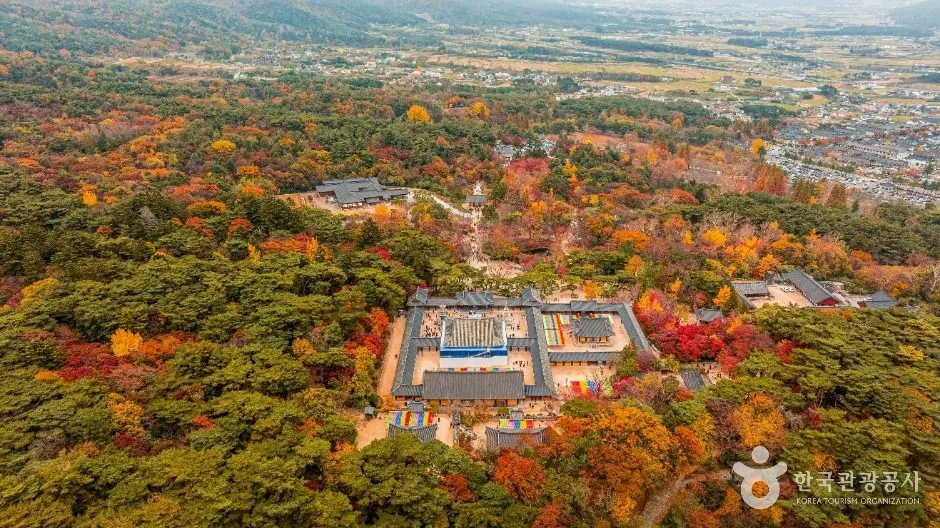 上から見た仏国寺。伽藍を紅葉した山の森が囲んでいる