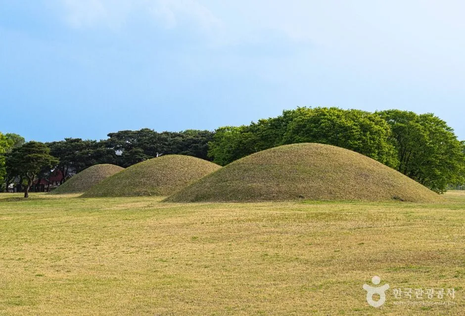 Grass-covered Silla royal tomb mounds rising from an open lawn with pine trees behind
