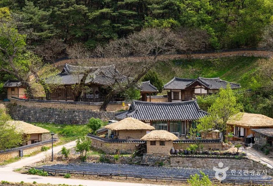 Tiled and thatched roofs of traditional houses on a wooded hillside at Yangdong Folk Village