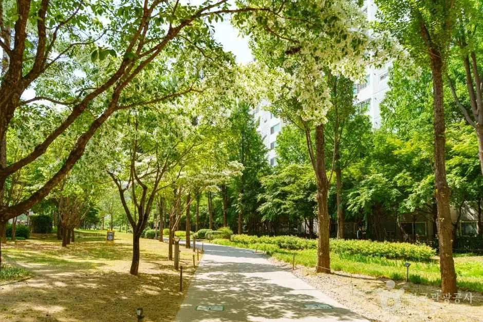 The Gyeongui Line Forest Park, a green strip built on a former railway