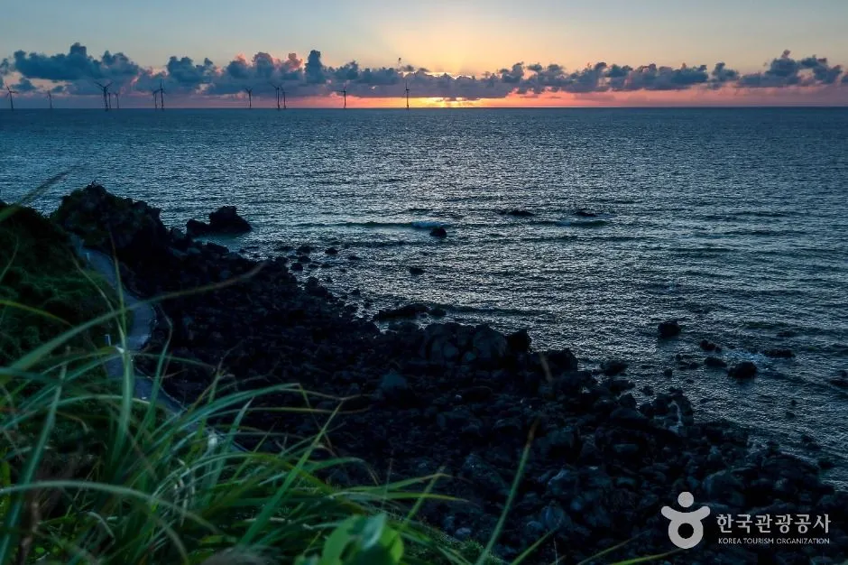 夕暮れの翰潭海岸散策路から見た海と、水平線に並ぶ風力発電機