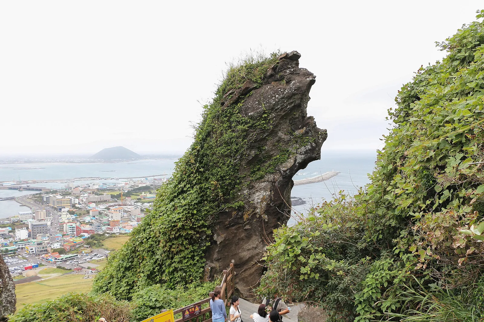 城山日出峰の風化した岩塔と、はるか下に見える町と港