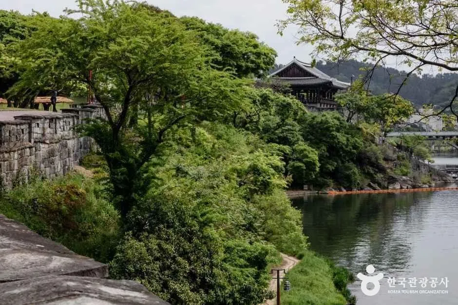 晋州城の城壁の上から南江を見下ろした眺め、木々の間に見える矗石楼と川向こうの橋