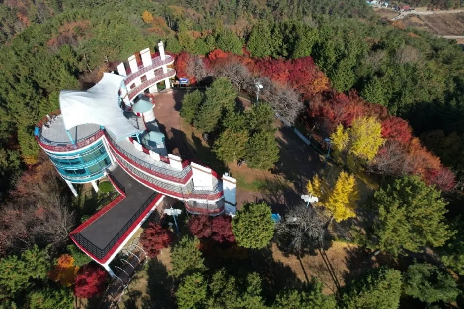 紅葉した森の上に曲線を描いて立ち上がる晋陽湖展望台を、上から見下ろした様子