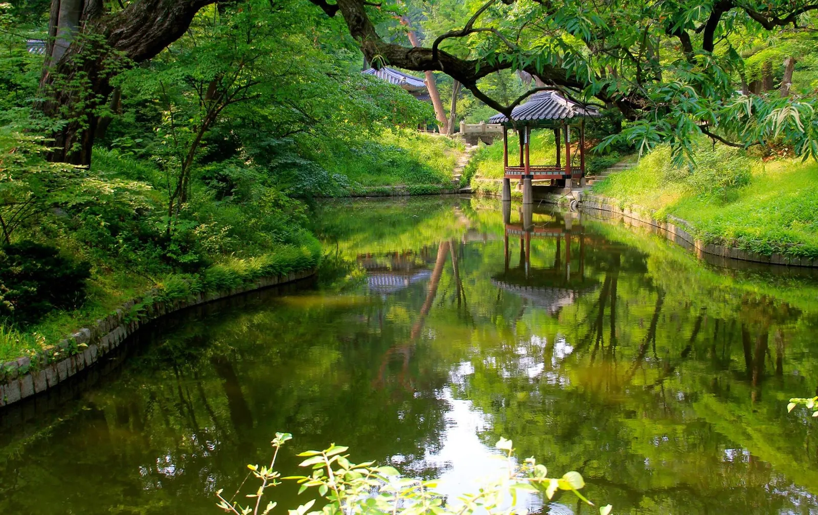 A pond reflecting trees in the Secret Garden of Changdeokgung Palace