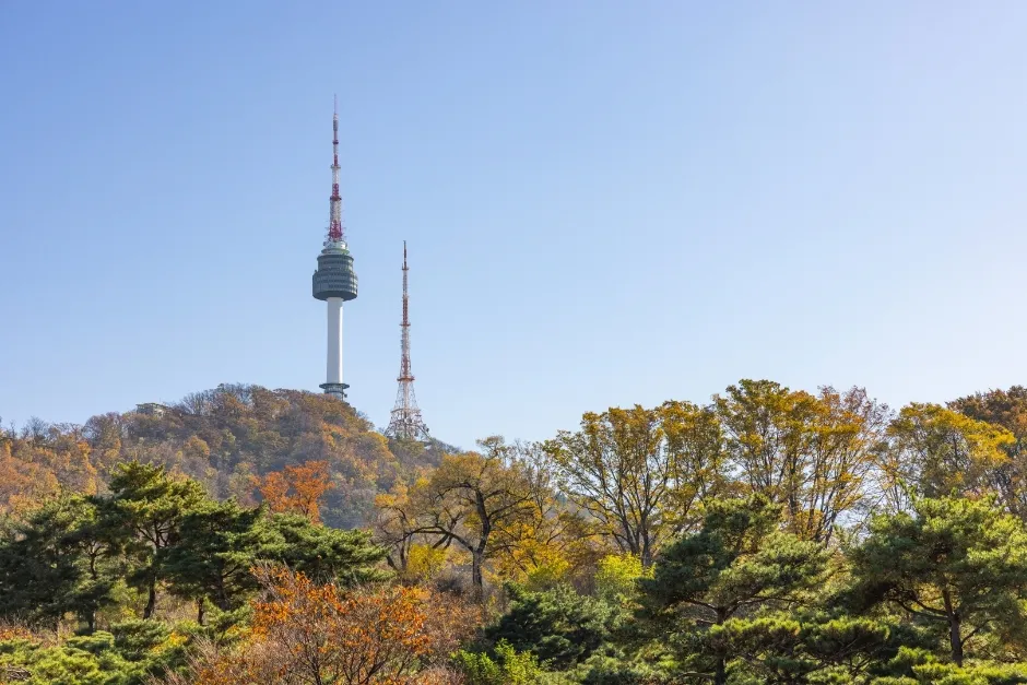 南山の紅葉の上にそびえるNソウルタワー