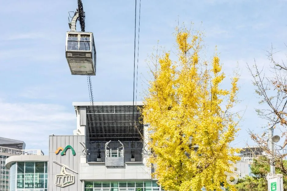 A Namsan cable car climbing the hillside