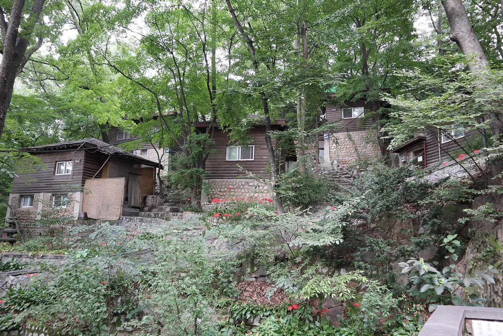 木々のあいだの斜面に階段状に並ぶ木造の建物。手前に赤いヒガンバナが咲いている