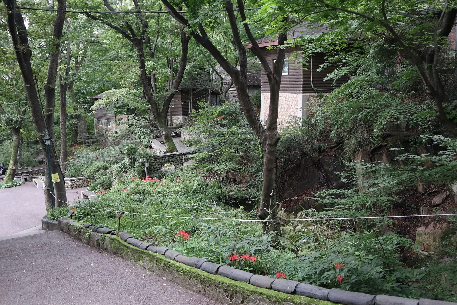 木の生い茂る寺のなかの上り坂。斜面に木造の建物が建ち、道ばたに赤い花が咲いている