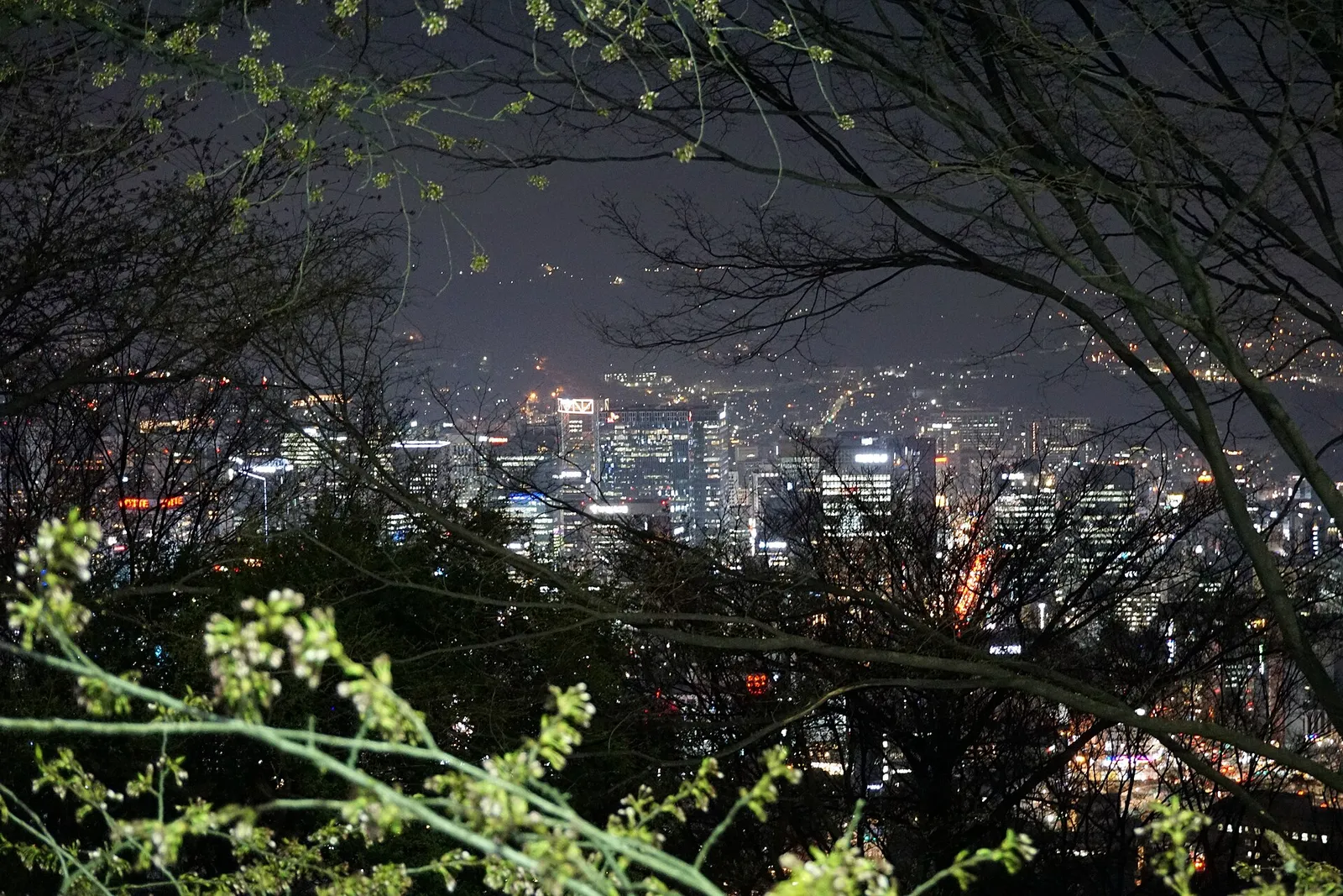 南山から見た夜のソウルの街並み