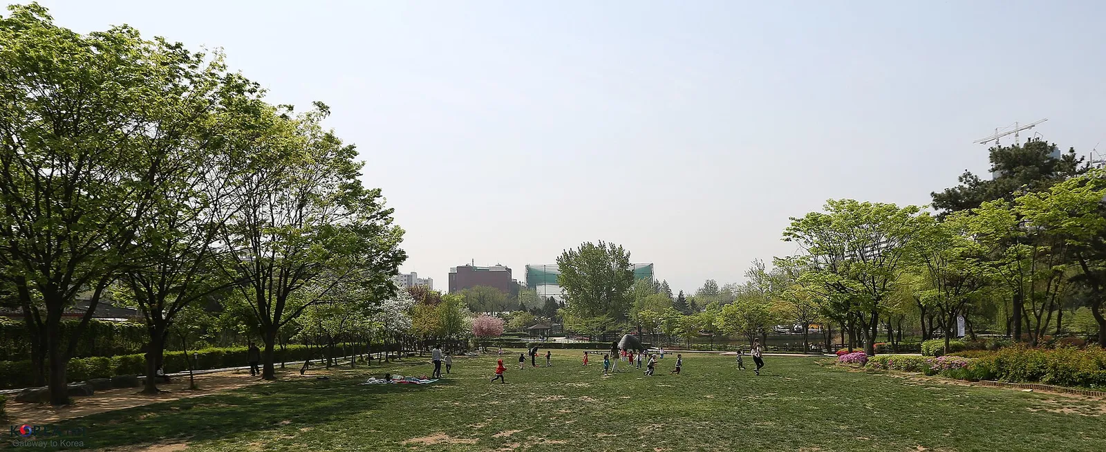 The lawn at Yongsan Family Park next to the museum