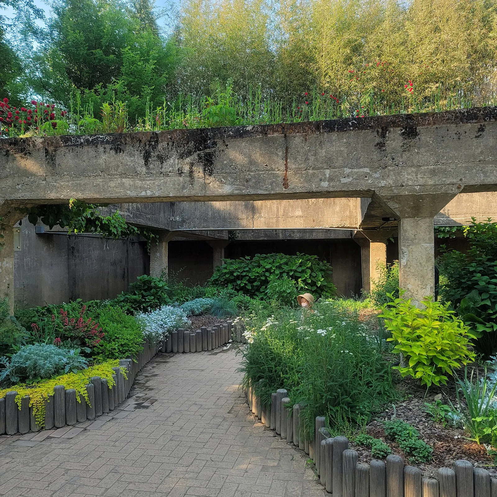 A planted walkway under an old concrete structure in Seongsu-dong