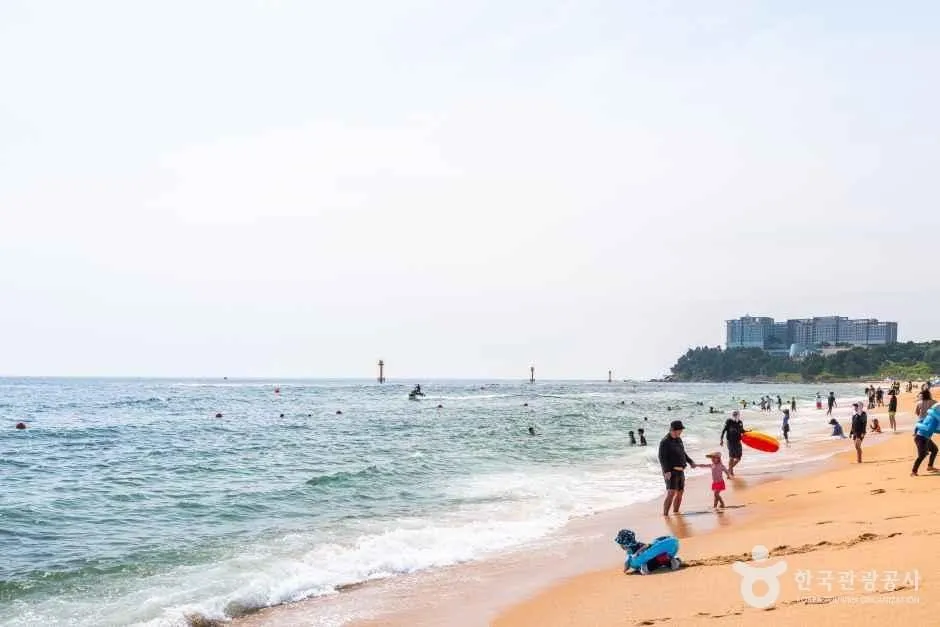 束草海水浴場の広い砂浜と、その向こうに広がる海